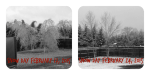 2015 Snow Day Collage Small