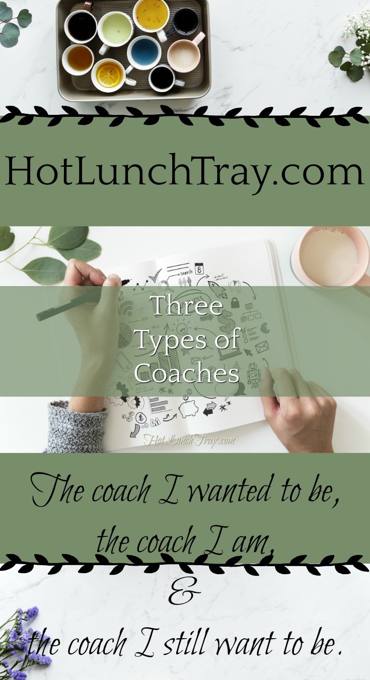 Three Types of Coaches PIN
