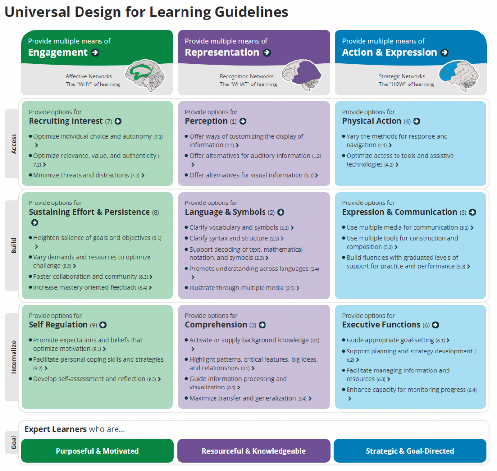 UDL Guidelines INSTA