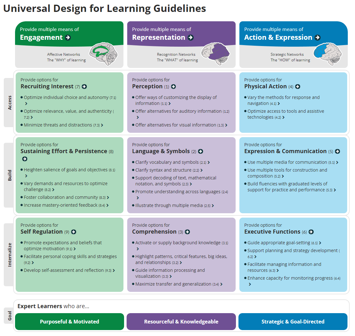 UDL Principles - Hot Lunch Tray
